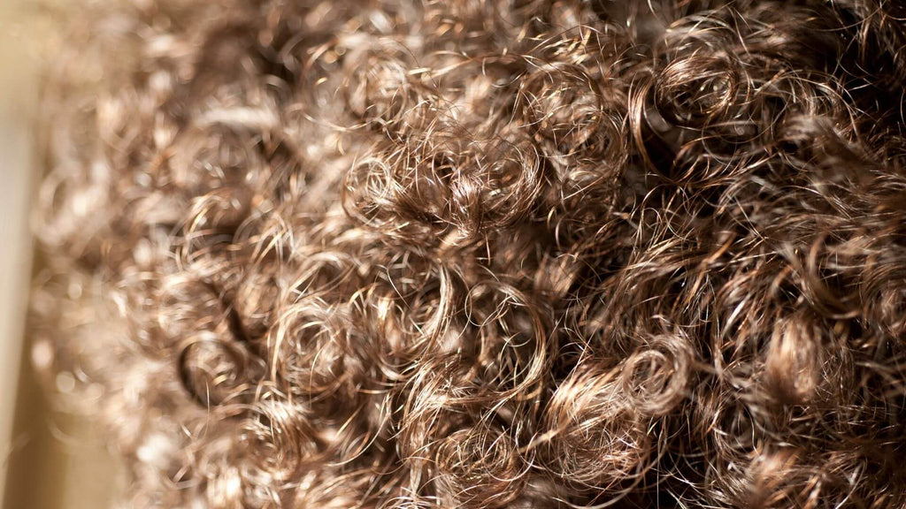 curly brunette hair