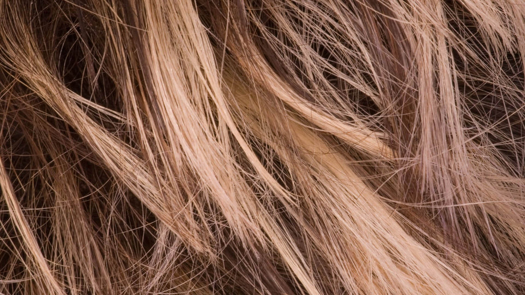 brunette ends of hair