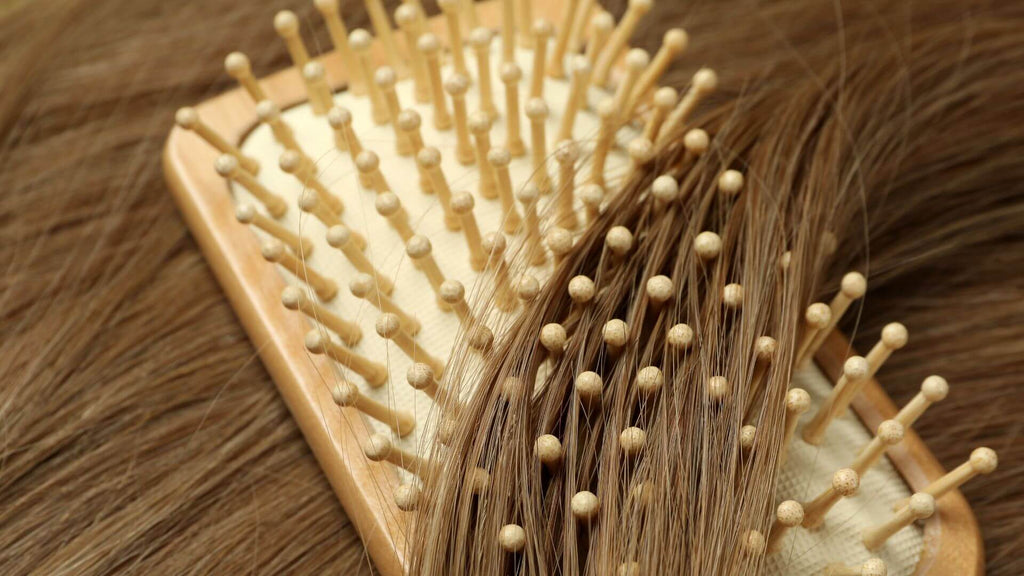 brunette hair in brush