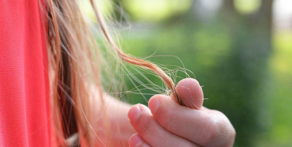 woman holding blonde hair